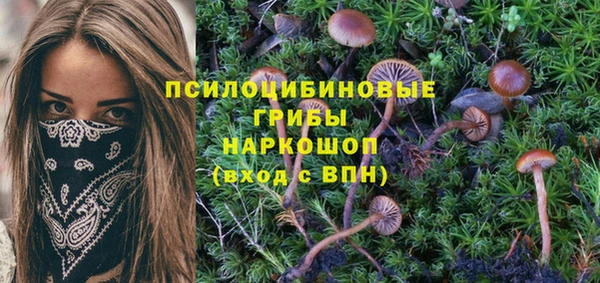 эйфоретик Лихославль